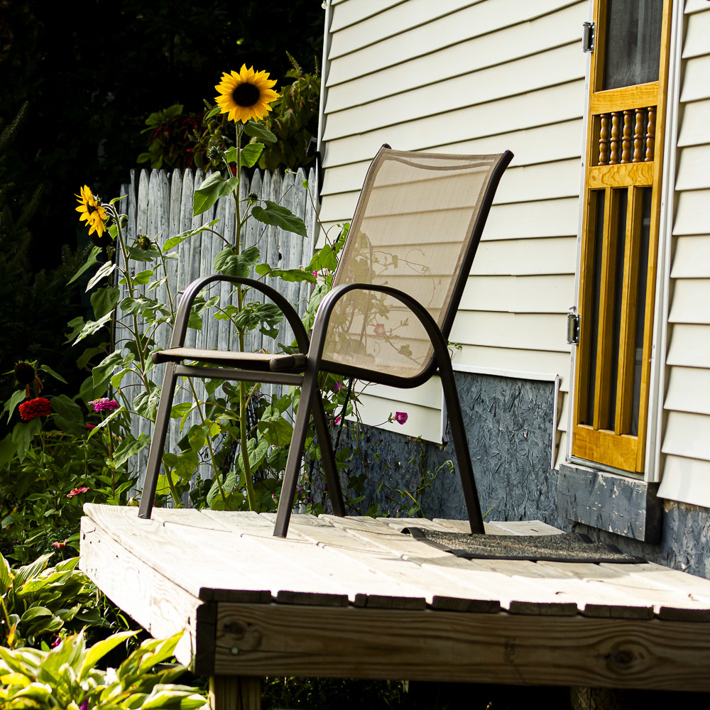 Chair and sunflower on deck